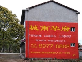宁明百分之90的人都不了解的农村墙体广告