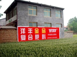 宁明如何让墙体广告展现最大化效果