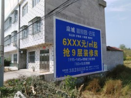 宁明墙体广告质量分析