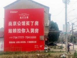 宁明墙体广告在乡镇、农村市场的媒体优势
