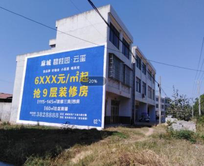 如何策划宁明墙体广告的投放？