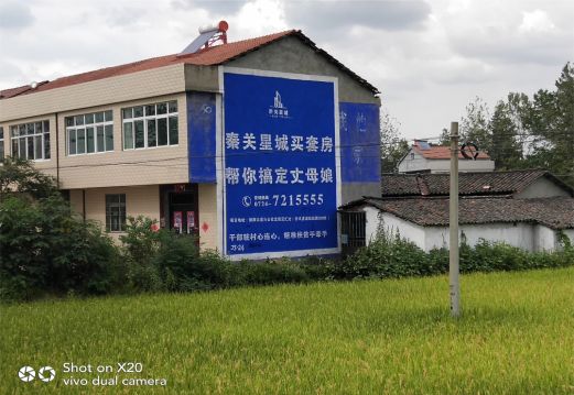 宁明决定墙体广告价格的因素有哪些?