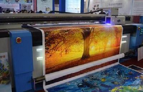 宁明写真有哪些介质？