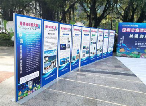 宁明KT板的种类和知识。